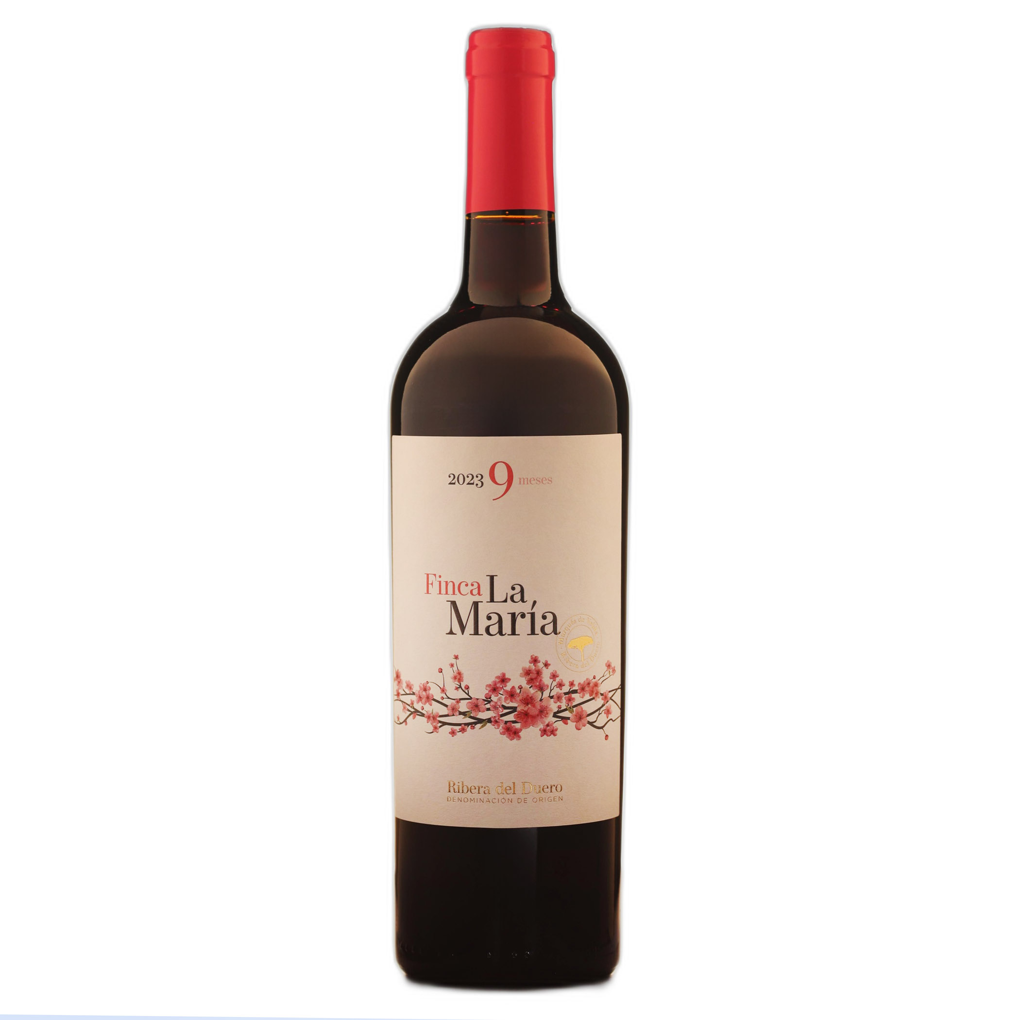 Finca La María 9 Meses 2023