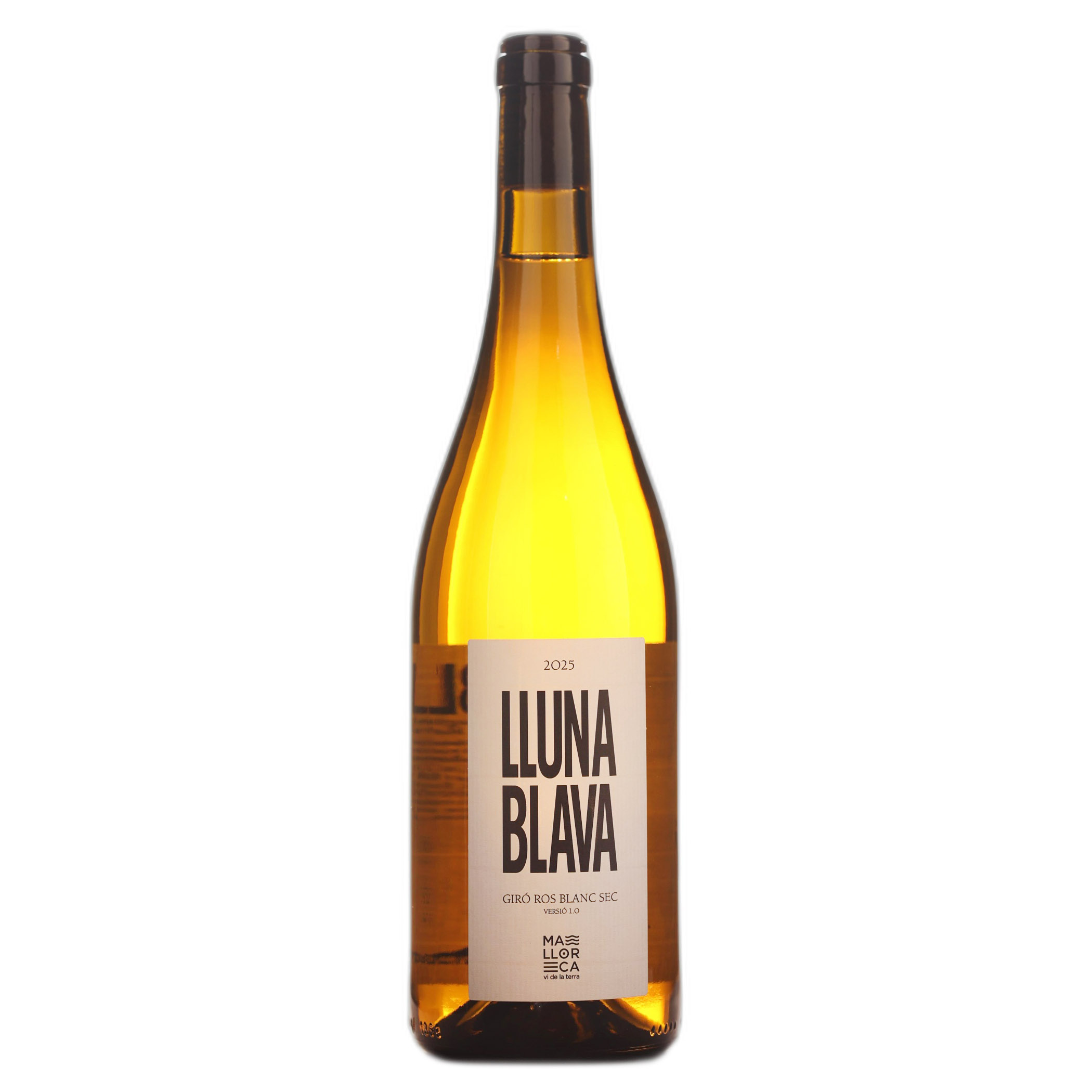 Lluna Blava 2025